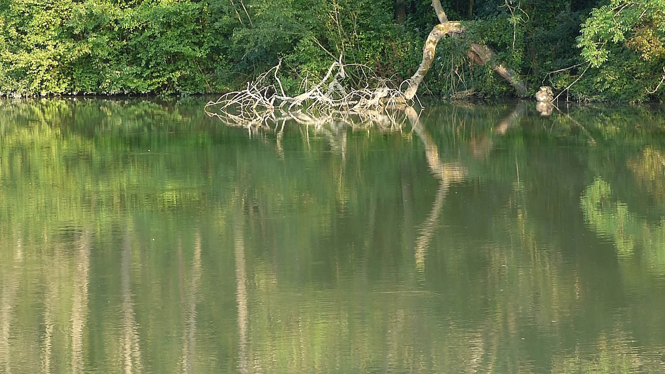Etang d'Hérivaux